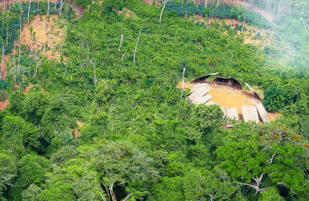 Desmatamento no Amazônia