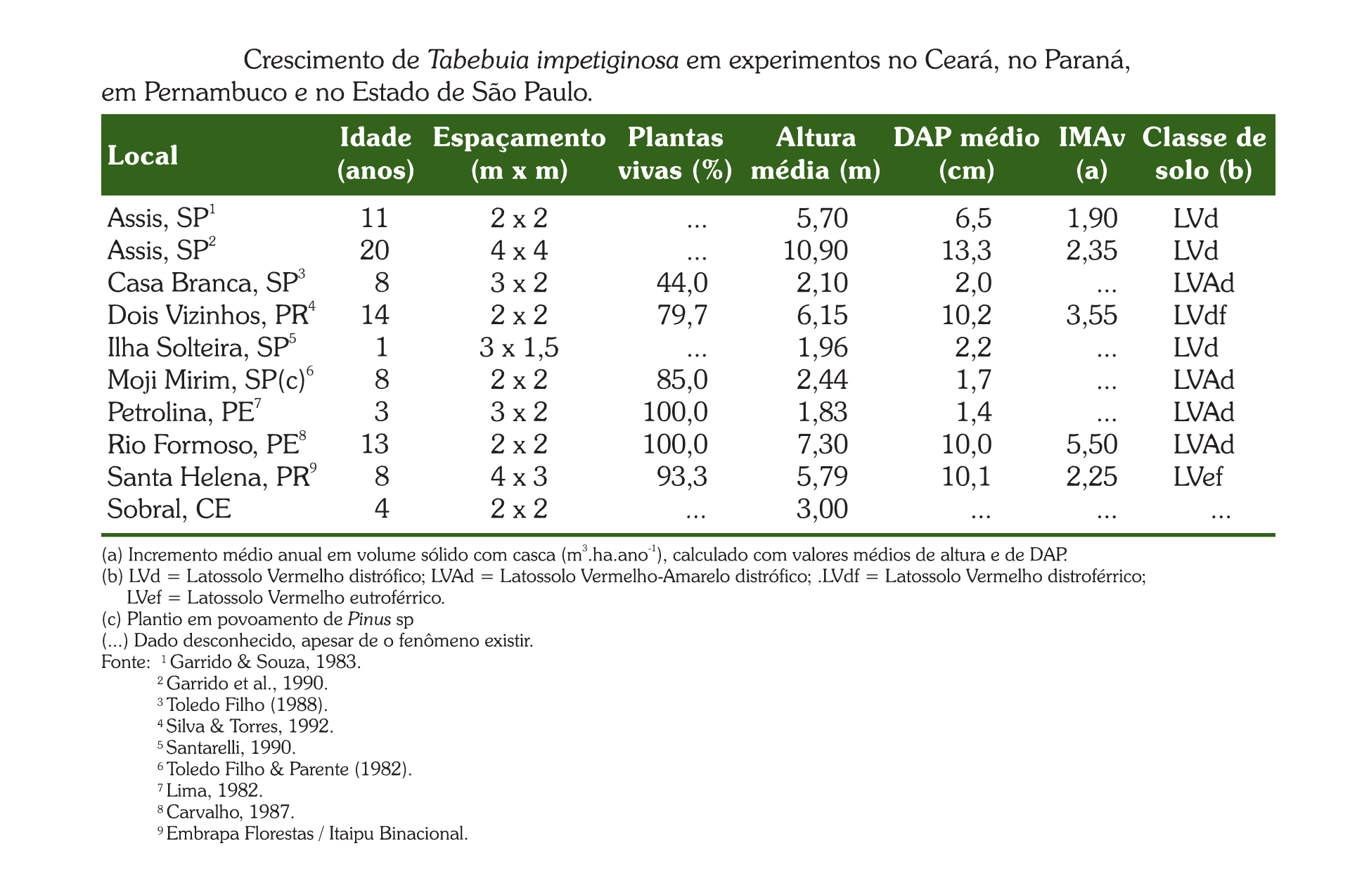 Jequitibá rosa - Crescimento