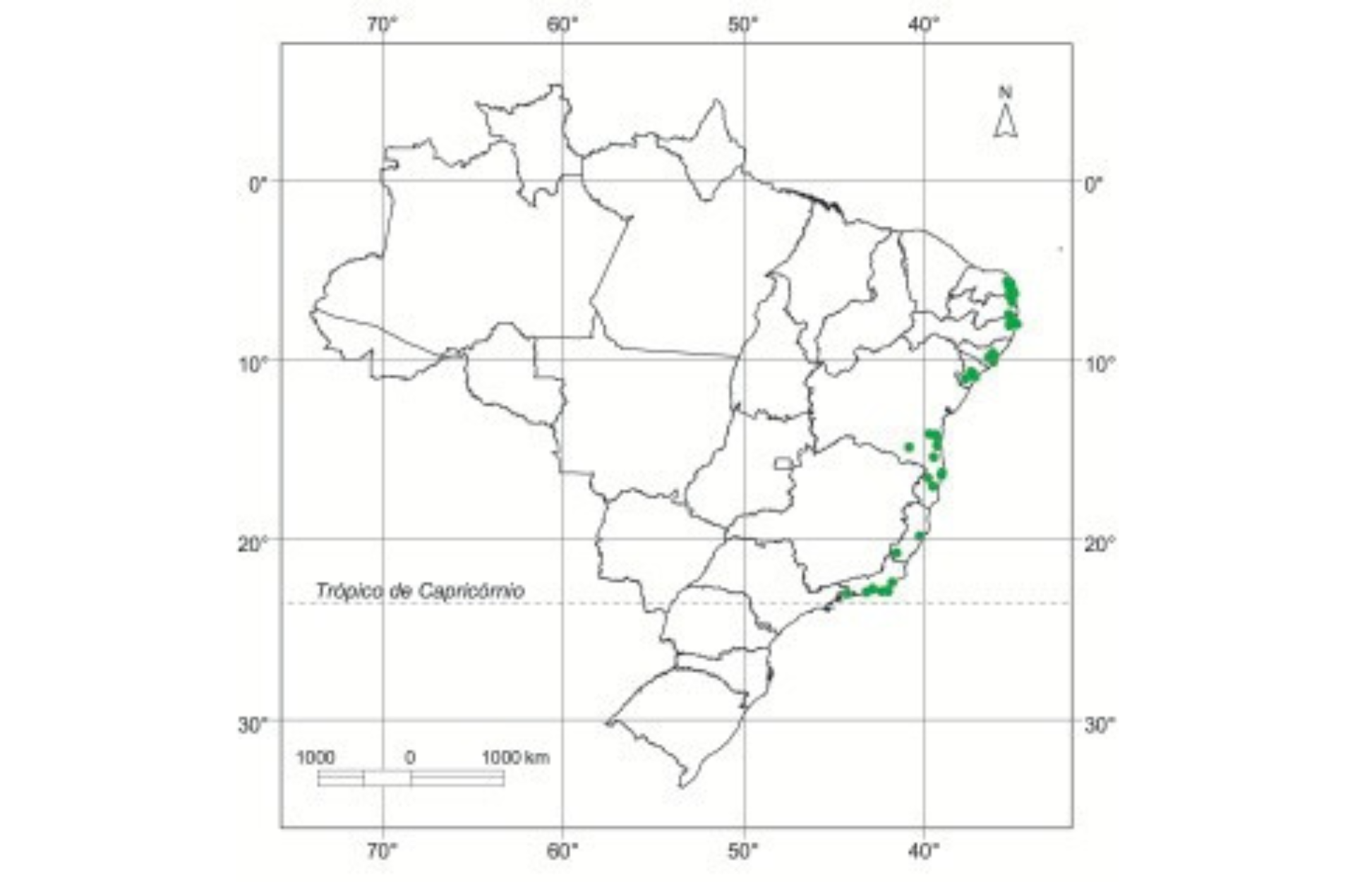 PAU BRASIL - OCORRÊNCIA NATURAL