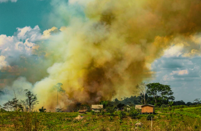 ACRE INCENDIOS FLORESTAIS (1)