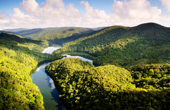 CÓDIGO FLORESTAL