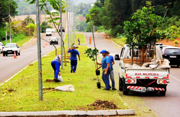 ARBORIZAÇÃO URBANA