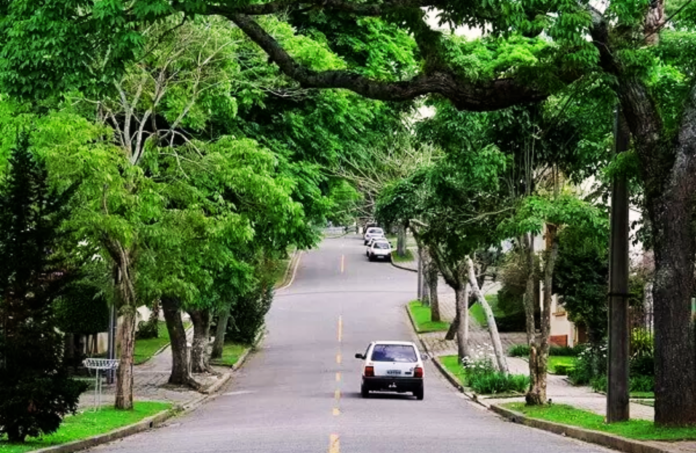 AVALIAÇÃO DA ARBORIZAÇÃO URBANA