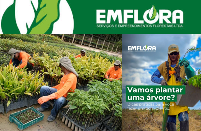 EMFLORA - EMPREENDIMENTOS FLORESTAIS